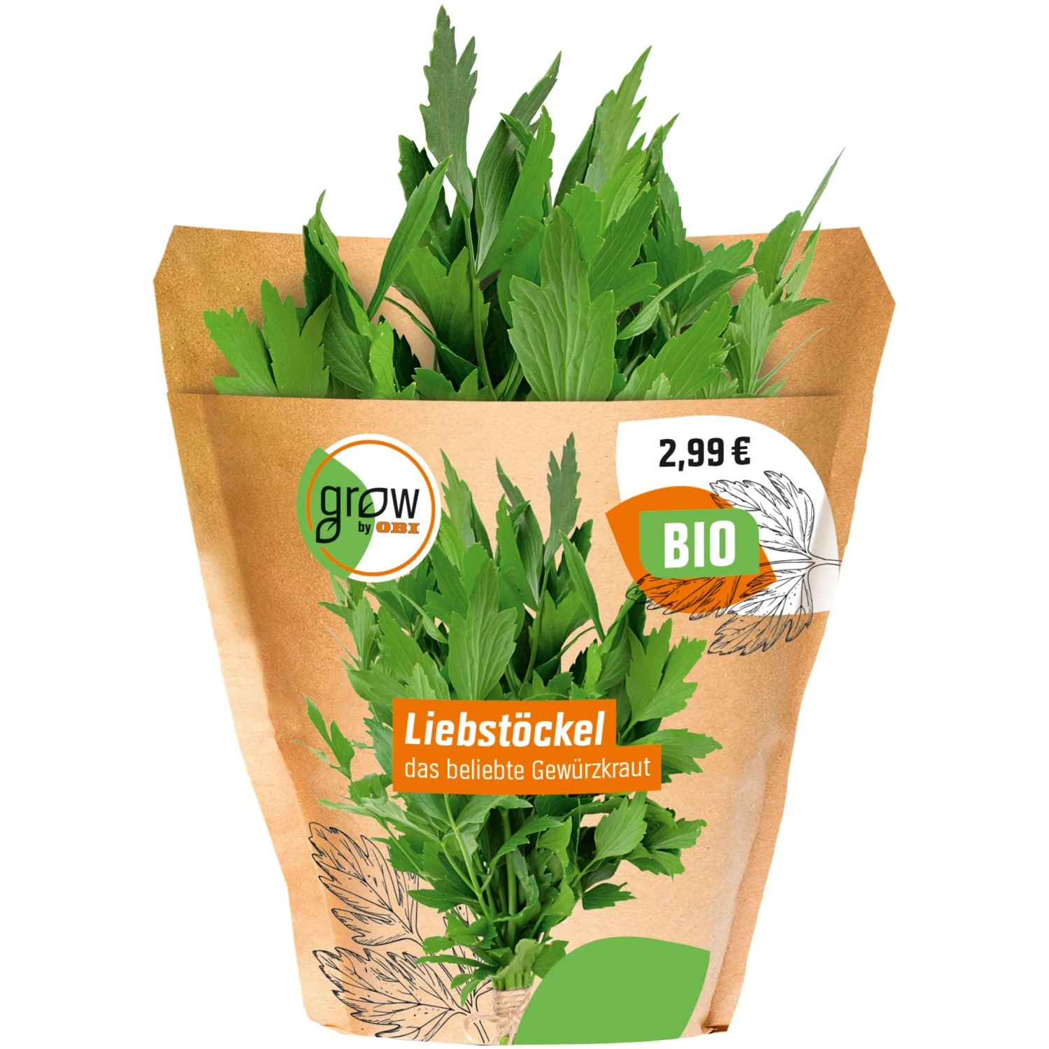 Grow by OBI Bio Liebstckel/Maggikraut Topf- ca. 13 cm "Levisticum  officinale" kaufen bei OBI