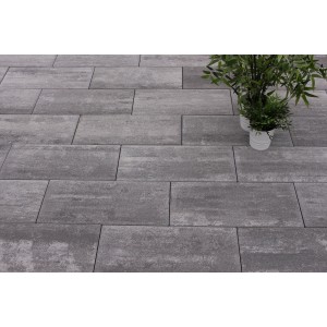 Verlegte, anthrazit-schattierte Terrassenplatten Modern, 50x25x4 cm, mit Pflanze.