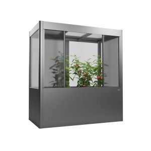 Biohort Gewächshaus Florentina Maxi, 2x1m, Quarzgrau-Metallic mit Pflanzen.