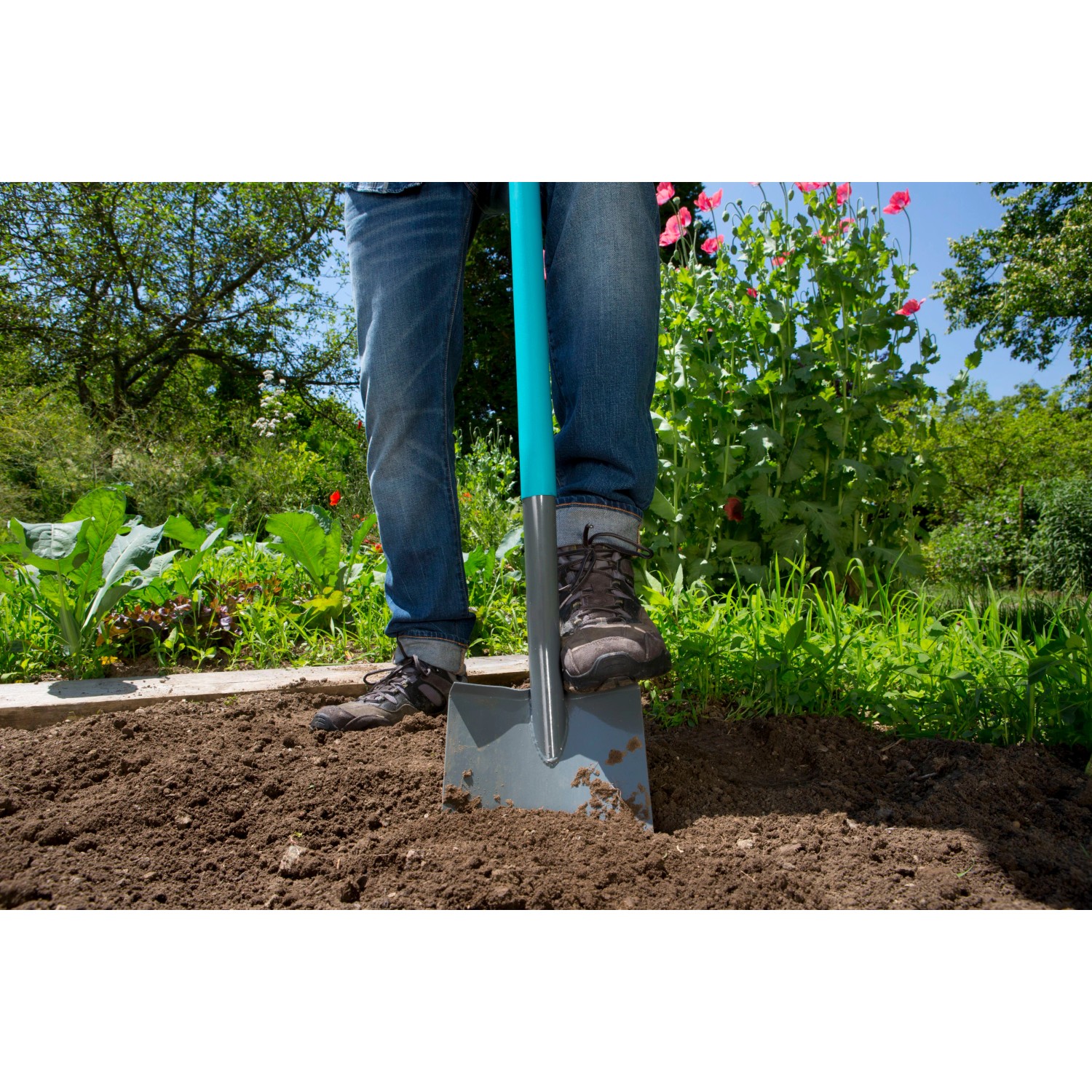 Gardena Spaten ClassicLine im Einsatz: Person sticht Spaten in die Erde.