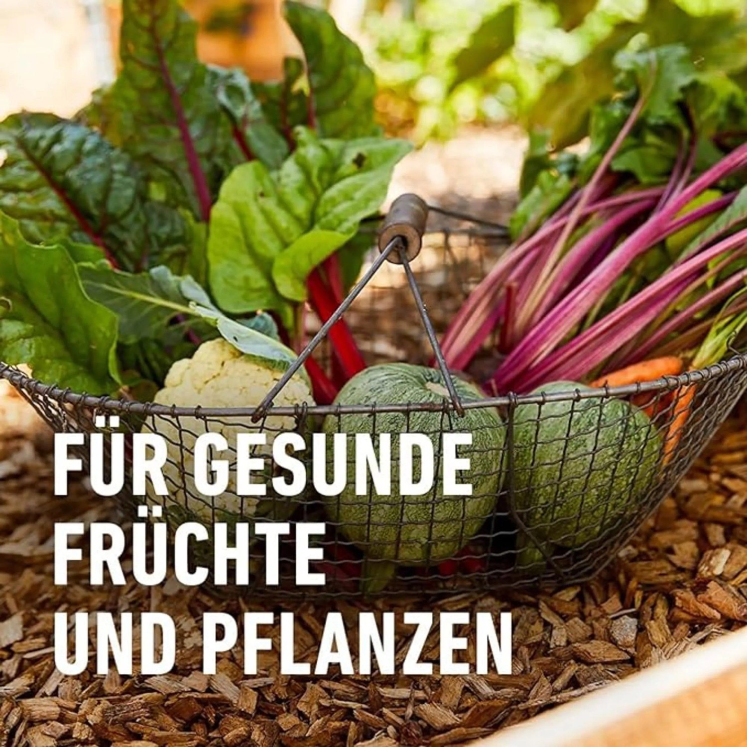 Compo Bio Universal-Erde torffrei 7,5 l_4