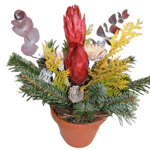 Vasen-Grabstrauß Nobilis Erika, 18 cm, Brombeere, mit Tanne, Erika und Protea in Terrakotta-Vase.