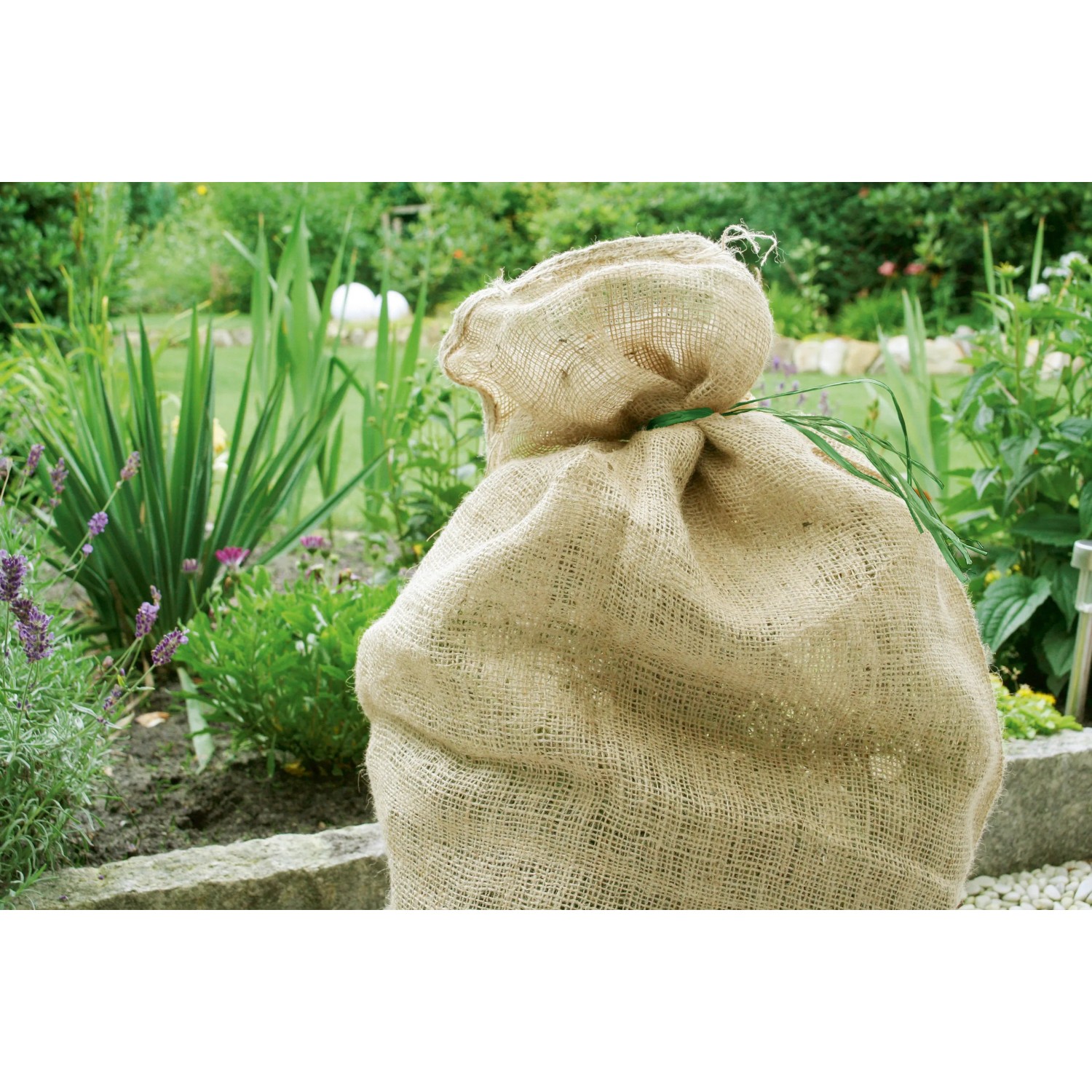 Jutesack (50 kg) im Garten, 2er-Set. Natürlicher Winterschutz und Deko.