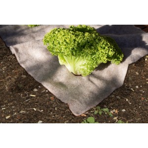 Gardigo Schnecken-Stopp Vlies Matte (80x60cm) mit Salatpflanze auf Beet. Schutz vor Schnecken im Garten.