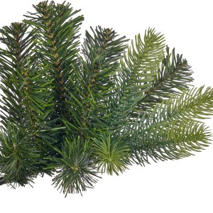 Detailaufnahme: Grüne Zweige der Kunsttanne Ketola XXL, ideal für festliche Weihnachtsdeko.