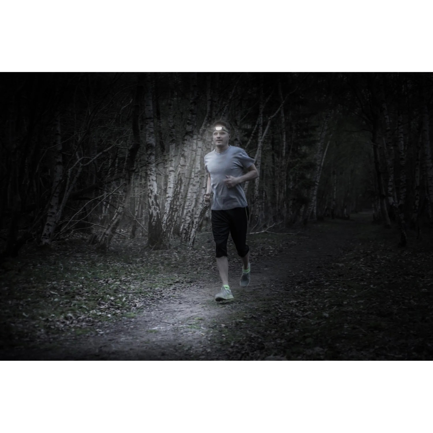 Mann mit Energizer Kopflampe Compact Sport beim Joggen im Wald. Taschenlampe mit LED.