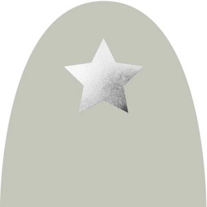 Videx Garden Winterschutz Vlieshaube mit Stern, silber metallic, 110x110cm. Winterschutz für Gartenpflanzen.