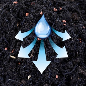 Westland Zitruserde: Wasserverteilung im Boden durch Tongranulat und West+ Technologie.