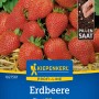 Kiepenkerl Erdbeere Elan Pillensaat: Packung mit roten, reifen Erdbeeren.