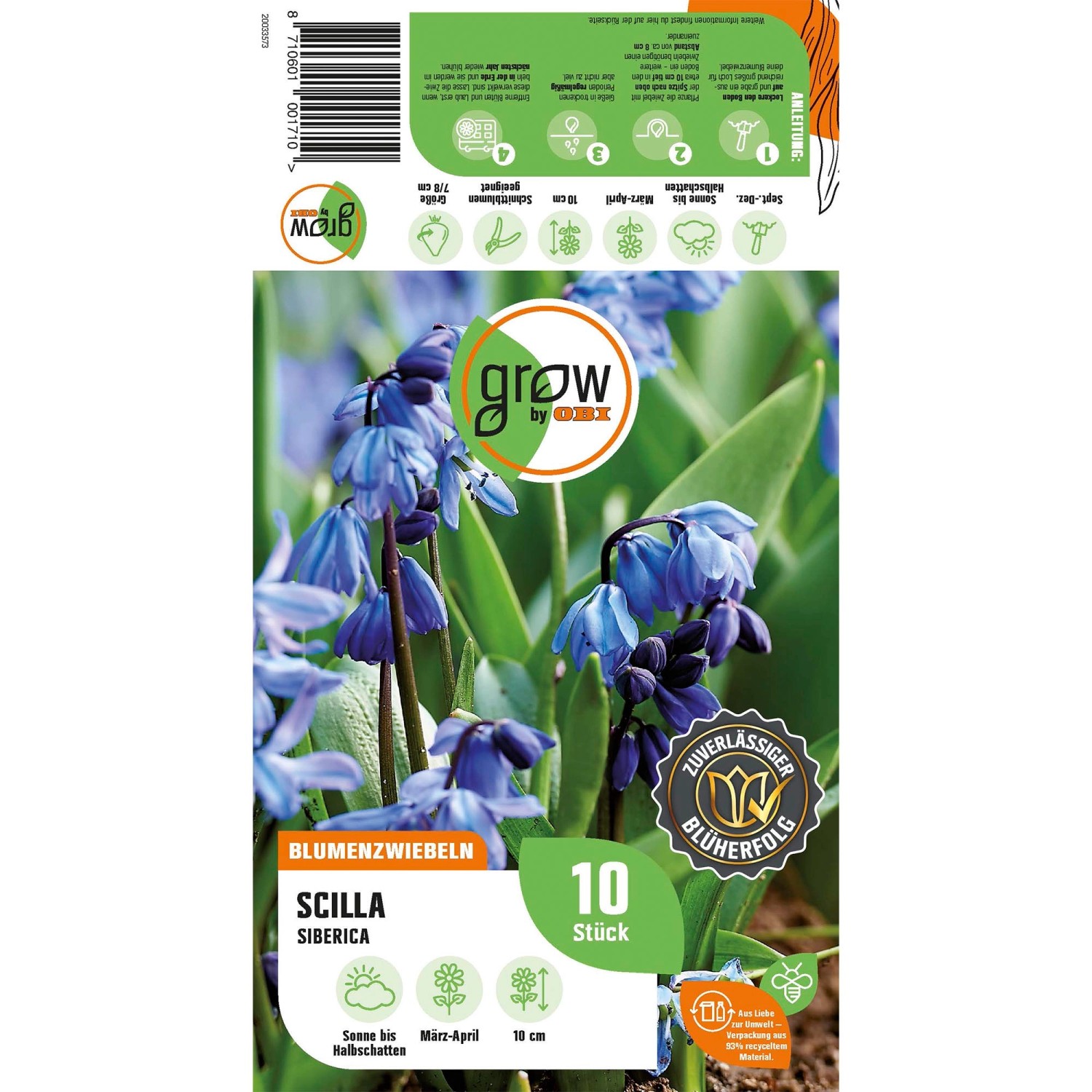 Verpackung GROW by OBI Sibirischer Blaustern, Scilla siberica, mit blauen Blüten.