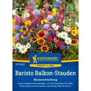 Kiepenkerl Saatgut Blumenmischung Baristo Balkon-Stauden