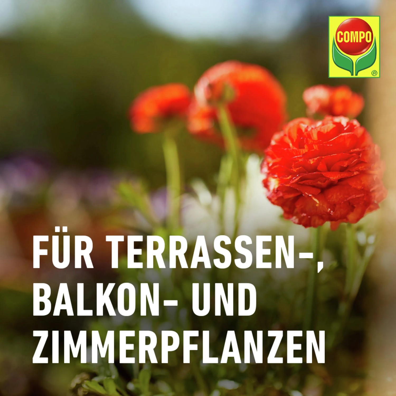 Compo 60 Tage Langzeit Blumendnger 750 ml kaufen bei OBI