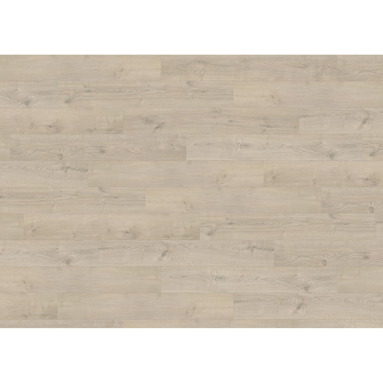 Living by Haro Laminat 7 mm Eiche Edmonton, helle Holzboden-Optik für Wohn- und Gewerberäume.