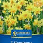 Kiepenkerl Narzisse Tête à Tête, 7 Stück Blumenzwiebeln mit leuchtend gelben Blüten.