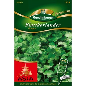Saatgutpackung Quedlinburger Blatt-Koriander Cilantro, aromatisches Würzkraut für Kräuter- und Hochbeet.