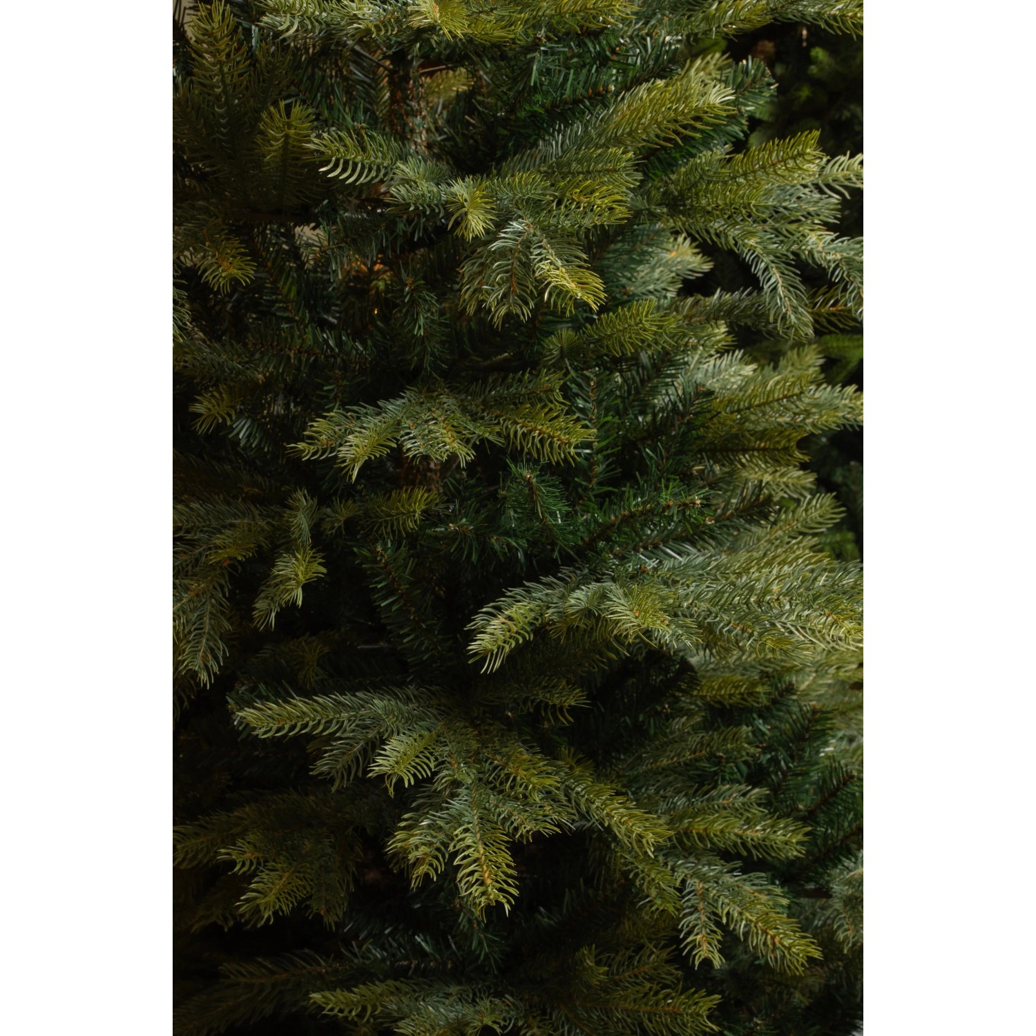 Black Box Trees Knstlicher Weihnachtsbaum Grimshaw Tannenbaum 215 cm x   152 cm kaufen bei OBI