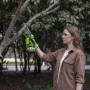 Frau schneidet Ast mit Greenworks Akku-Kettensäge (Schwert 10 cm).