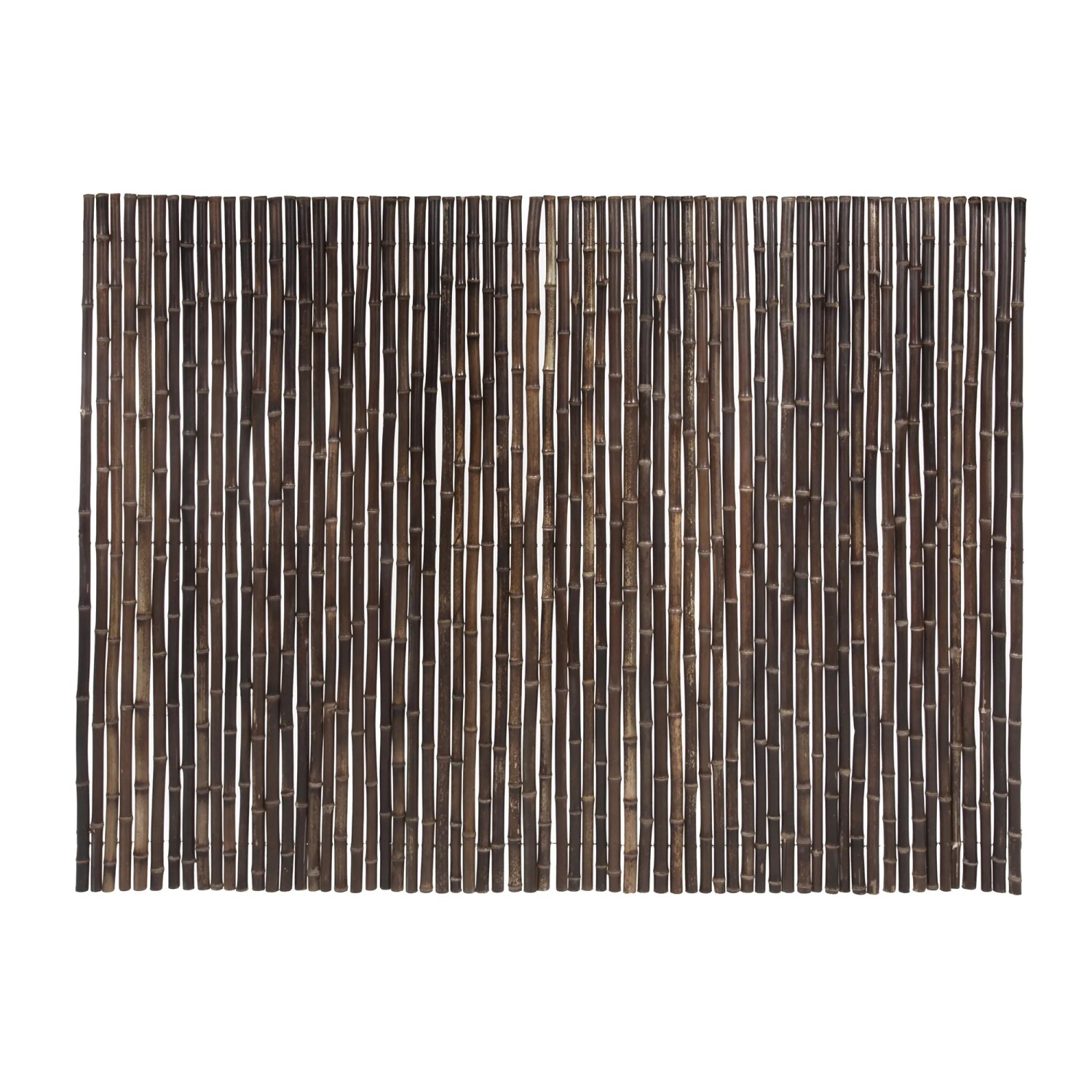 baumfreund pflege Philodendron Birkin 