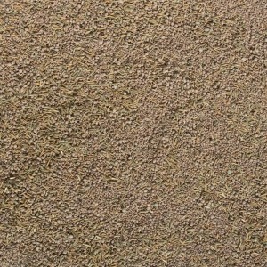 Detailaufnahme von Westland Rasenpflege Dichter Rasen Vital, Rasendünger, Rasensamen und Bodenverbesserer.