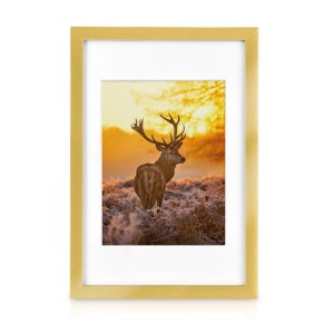Bomoe Passion Bilderrahmen 18-tlg. in Gold mit Hirsch-Motiv, Dekoartikel für die Wand.