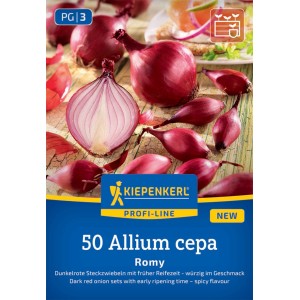 Kiepenkerl Steckzwiebel Romy