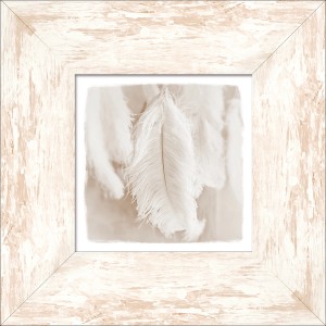Pro Art Bild Framed Art The Feather II 34 cm x 34 cm