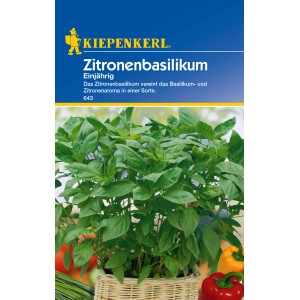 Kiepenkerl Zitronenbasilikum einjährig