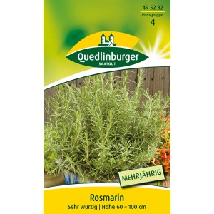 Quedlinburger Rosmarin Kräutersamen, mehrjährig, für den Anbau im Freien.
