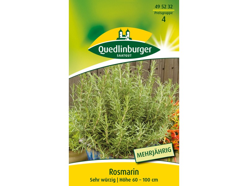 Quedlinburger Rosmarin kaufen bei OBI