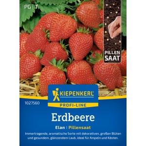 Kiepenkerl Erdbeere Elan Pillensaat: Reife, rote Erdbeeren mit grünen Blättern auf der Verpackung.