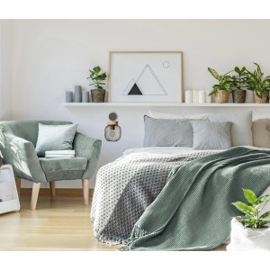 Olivgrüne Brilliant Wandleuchte Giada mit Holzapplikation im Schlafzimmer.