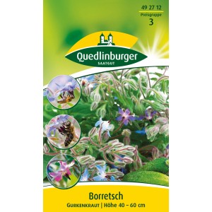 Samenpackung Quedlinburger Borretsch mit blühenden Pflanzen und Bienen.