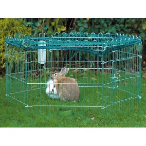 Dobar 6-eckiges Freilaufgehege-Set mit Schutznetz, Futternapf und zwei Kaninchen im Garten.
