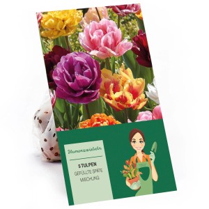Verpackung Pfingstrosen-Tulpen Mischung mit gefüllten, spät blühenden Tulpen in verschiedenen Farben.