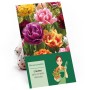 Verpackung Pfingstrosen-Tulpen Mischung mit gefüllten, spät blühenden Tulpen in verschiedenen Farben.