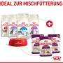 Royal Canin Katzen-Nassfutter Sensory Smell, verschiedene Sorten und Trockenfutter für Mischfütterung.