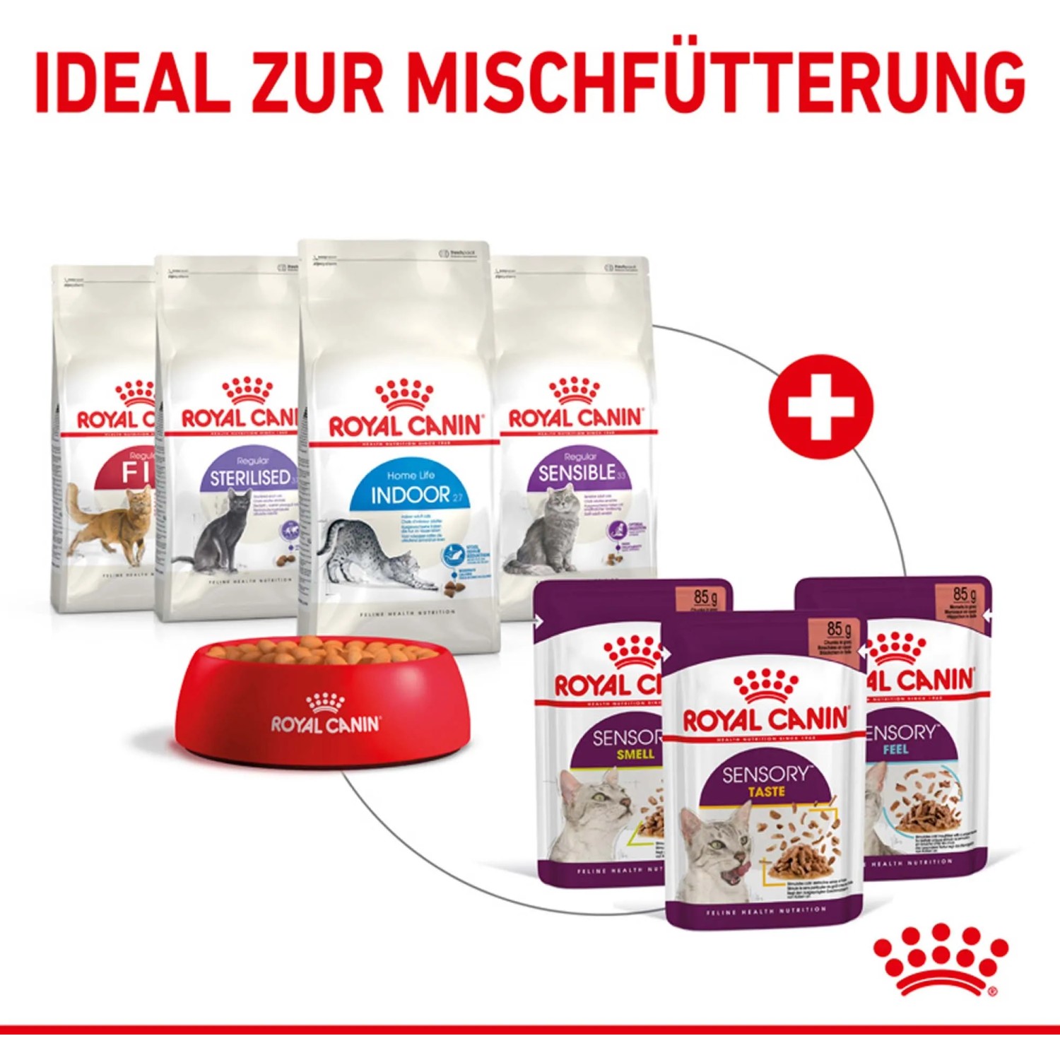 Royal Canin Katzen-Nassfutter Sensory Smell, verschiedene Sorten und Trockenfutter für Mischfütterung.