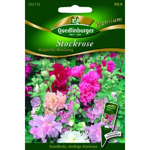 Quedlinburger Stockrosen 'Majorette Mischung' in bunten Farben für Beet und Rabatte.