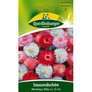 Quedlinburger Tausendschön Mischung Blumensamen: Blüten in Rot, Weiß und Rosa.
