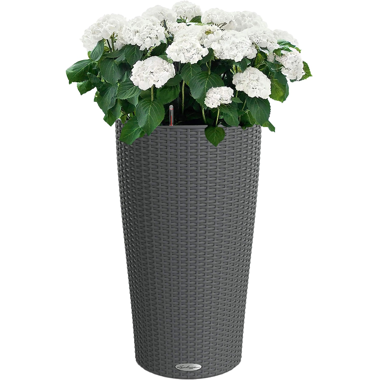 Lechuza Cilindro Cottage Pflanzsäule in Granit mit weißer Hortensie, Ø 23 cm.