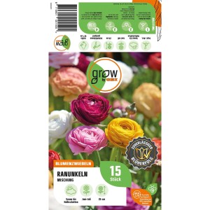 GROW by OBI Ranunkel-Mischung, verschiedene Farben, 15 Stück. Blumenzwiebeln für Beet und Kübel.