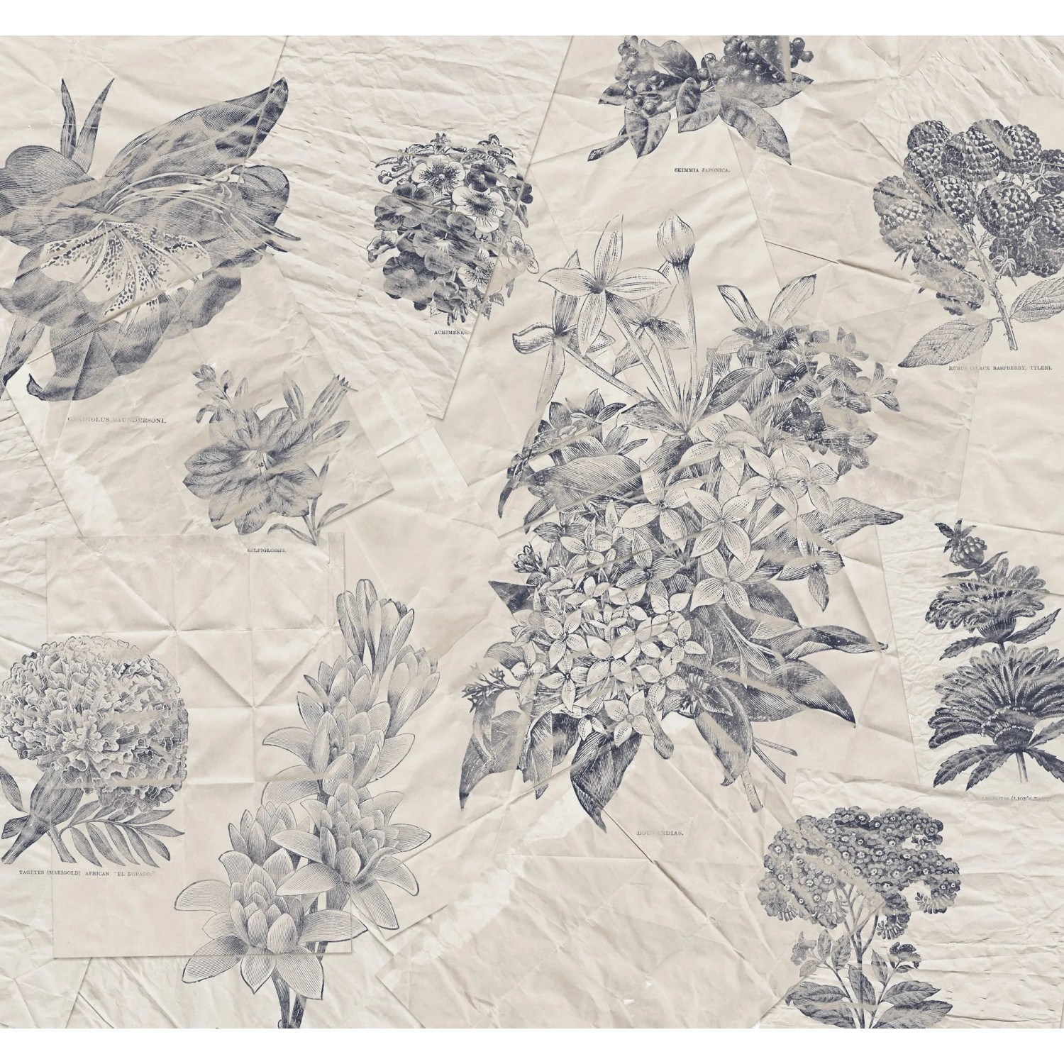 Komar Vlies Fototapete Botanical Papers mit floralem Muster, 300x280 cm.