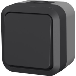 Schwarzer Schalter zur Aufputz-Montage, geeignet für den Außenbereich.