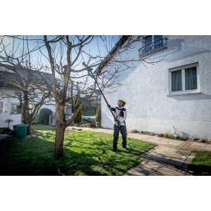 Akku-Gehölzsäge MS 18 LTX 15 im Einsatz beim Baumschnitt im Garten.