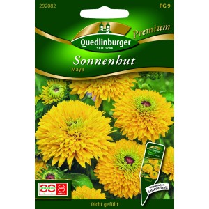 Quedlinburger Sonnenhut 'Maya' Blumensamen mit goldgelben, dicht gefüllten Blüten.