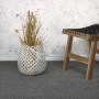 Andiamo Teppichboden Meryl Vlies Schlamm, Meterware mit Deko und Hocker