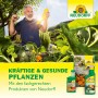 Neudorff Produkte für kräftige Pflanzen: Wurzel-Aktivator, Dünger und mehr für gesundes Wachstum.