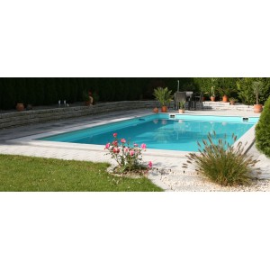 Rechteckiger Steinbach Styropor Pool-Set Highlight de Luxe im Garten mit Pflanzen.