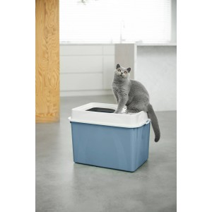 Rotho Katzentoilette Eco Berty, oben offen, horizontblau, mit Katze.