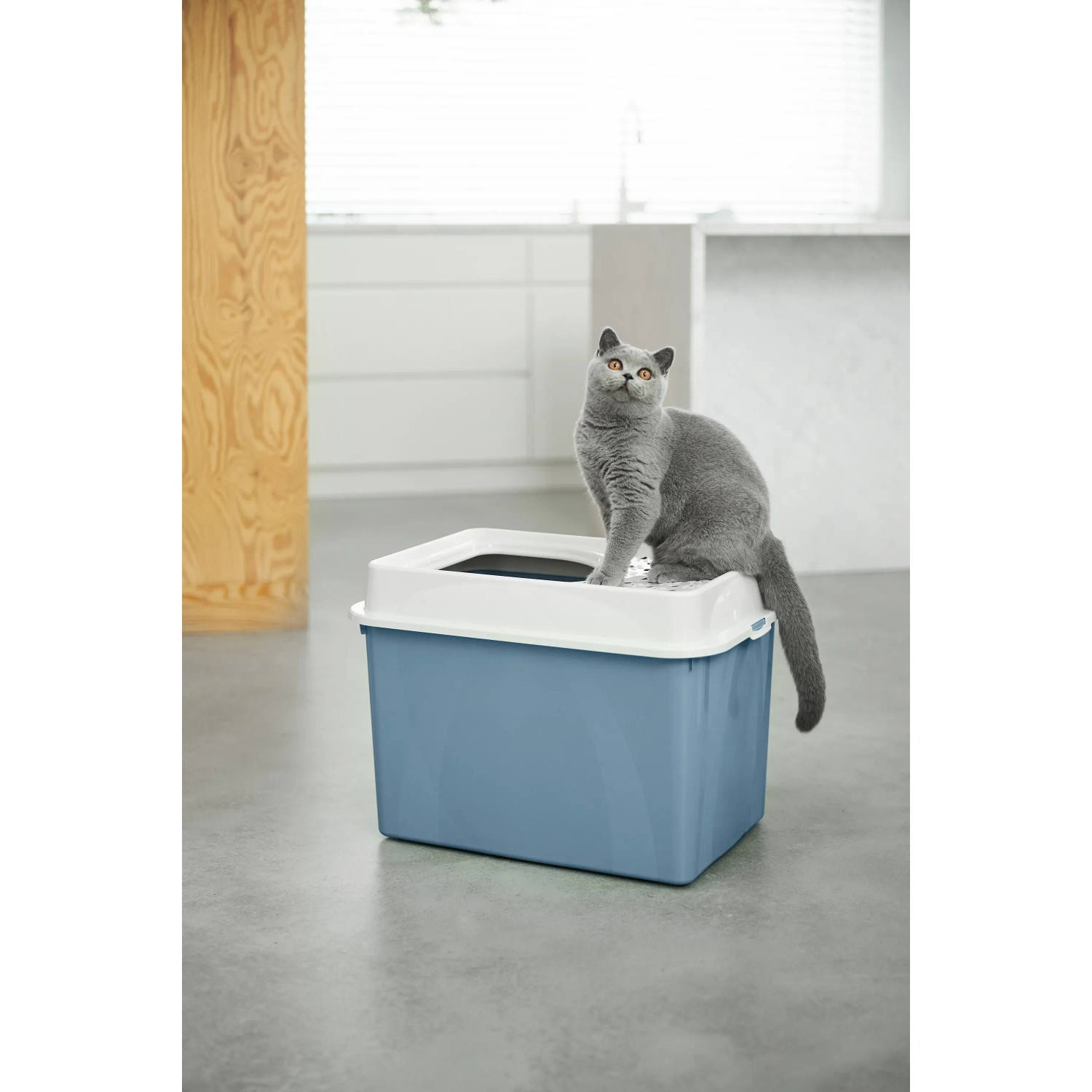 Rotho Katzentoilette Eco Berty Oben Offen Horizontblau kaufen bei OBI